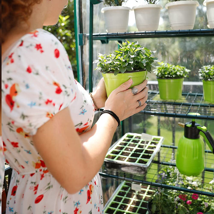 greenhouse near me 