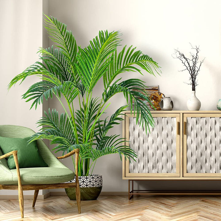 areca palm