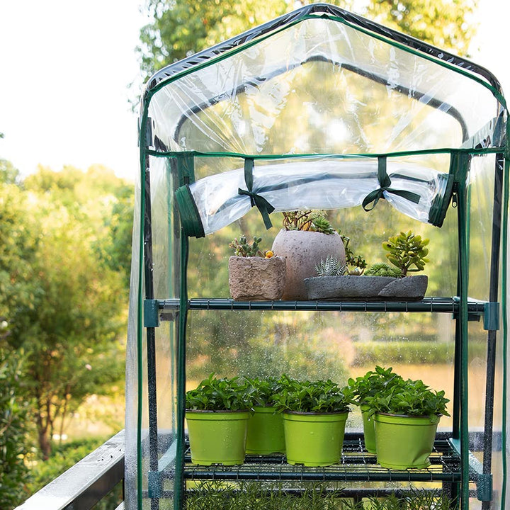 mini greenhouse 