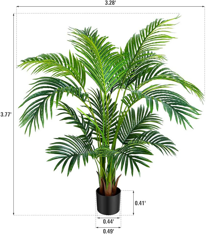 areca palm