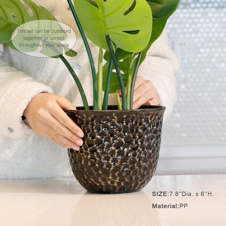 flowers for pots