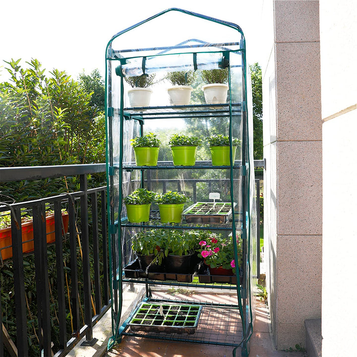 mini greenhouse 