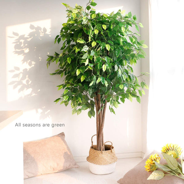 Worth 6ft Artificial Ficus Trees w Realistic Leaves and Natural Trunk